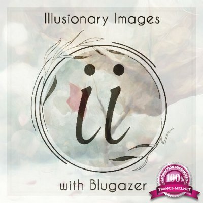 Blugazer - Illusionary Images 132 (2022-11-03)