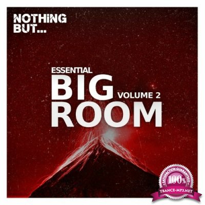 Nothing But... Essential Big Room, Vol. 02 (2022)