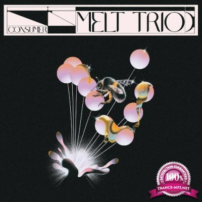 Melt Trio - Consumer (2022)
