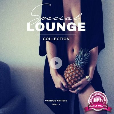 Special Lounge Collection, Vol. 1 (2022)