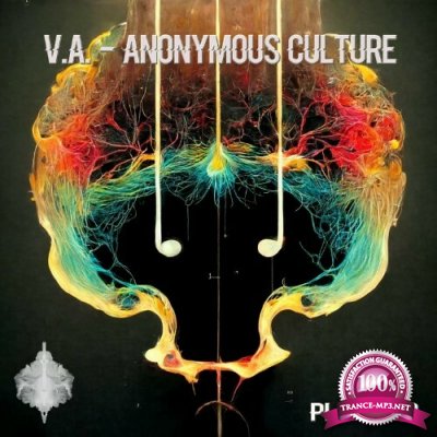 Anonymous Culture (2022)
