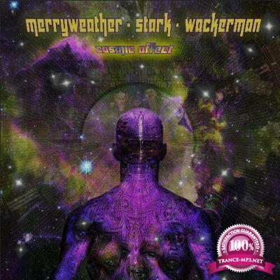 Merryweather Stark Wackerman - Cosmic Affect (2022)