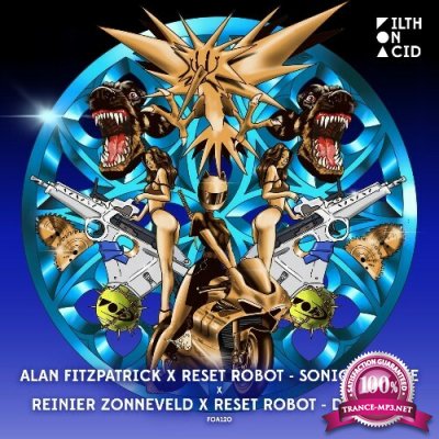 Alan Fitzpatrick & Reset Robot & Reinier Zonneveld - Sonic Texture x Desolate (2022)