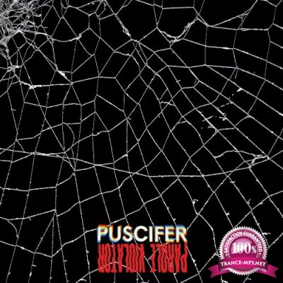 Puscifer - Parole Violator (2022)