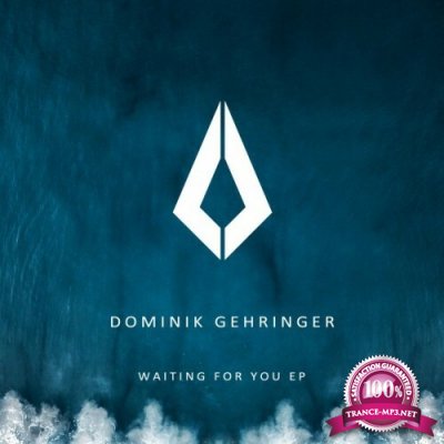 Dominik Gehringer - Waiting for You (2022)
