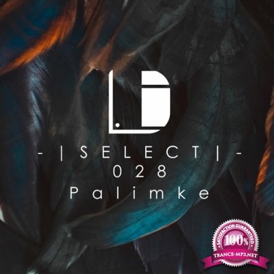 Palimke - Drone Select Episode #028 (2022-11-19)