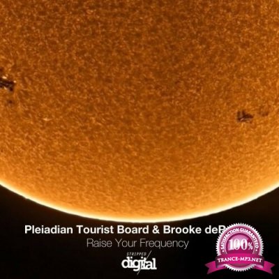 Pleiadian Tourist Board & Brooke deRosa - Raise Your Frequency (2022)