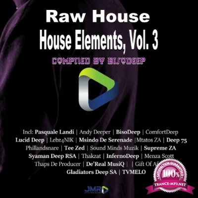 Raw House Elements, Vol. 3 (2022)