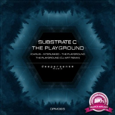 Substrate C - The Playground (2022)