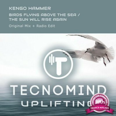 Kengo Hammer - Birds Flying Above The Sea / The Sun Will Rise Again (2022)