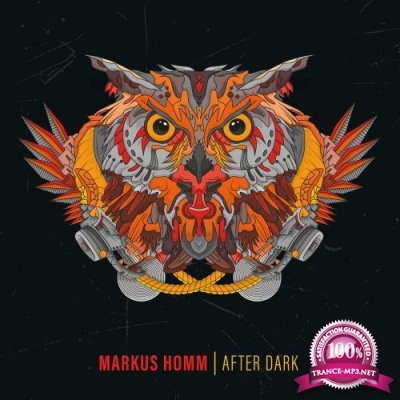 Markus Homm - After Dark (2022)