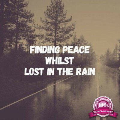 Rain Storm Sample Library - Finding Peace Whilst Lost in the Rain (2022)