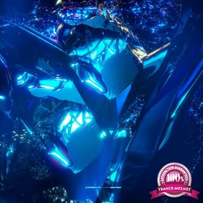 DJ Stingray 313 - Aqua Team (2022)
