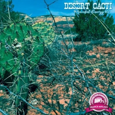 Desert Cacti: Peaceful Energy V2 (2022)