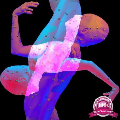 Paul Traeumer - Reverb Psychedelics - Remixes (2022)