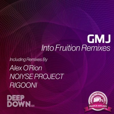 GMJ - Into Fruition Remixes (2022)
