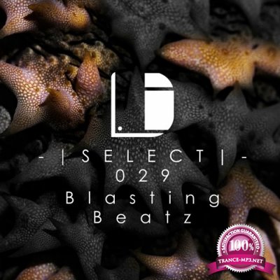 Blasting Beatz - Drone Select Episode 029 (2022-12-03)