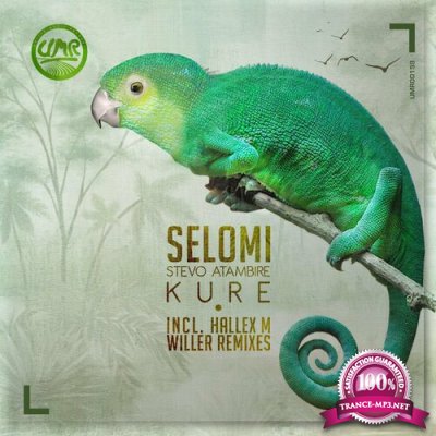 Selomi feat. Stevo Atambire - Kure (2022)