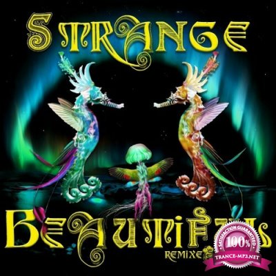 Mojo Filter - Strange Beautiful Remixes (2022)