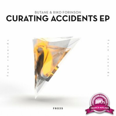 Butane & Riko Forinson - Curating Accidents (2022)