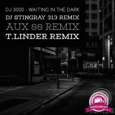 DJ 3000 - Waiting in the Dark (2022)