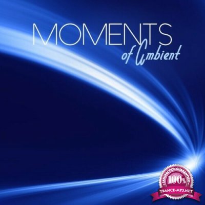 Flymusik - Moments of Ambient (2022)