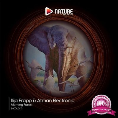Atman Electronic & Ilija Frapp - Morning Forest (2022)