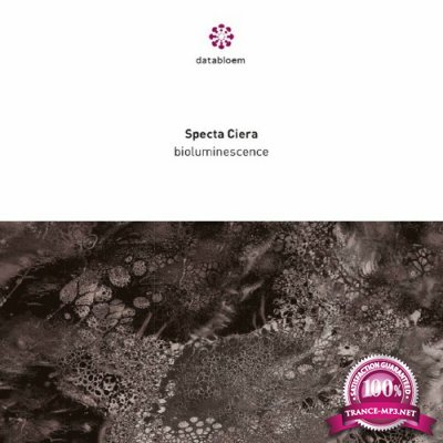 Specta Ciera - Bioluminescence (2022)