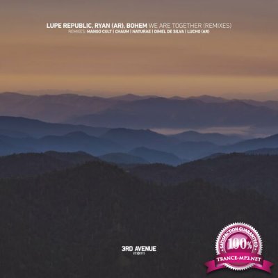 Lupe Republic & RYAN (AR) - We Are Together (Remixes) (2022)