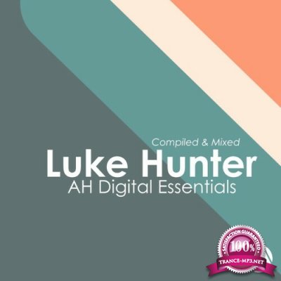 AH Digital Essentials 002 / Luke Hunter (2022)