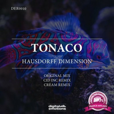 Tonaco - Hausdorff Dimension (2022)