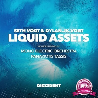 Seth Vogt & Dylan.JK.Vogt - Liquid Assets (2022)