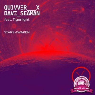 Quivver x Dave Seaman ft Tigerlight - Stars Awaken (2022)