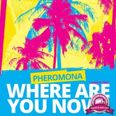 Pheromona - Where Are You Now (2022)