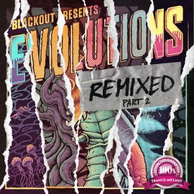 Evolutions Remixed, Pt. 2 (2022)