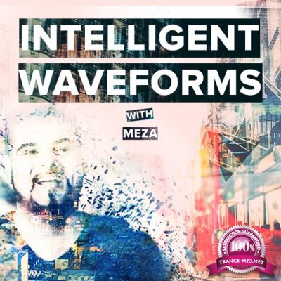 Meza - Intelligent Waveforms 073 (2022 Year Mix) (2022-12-18)