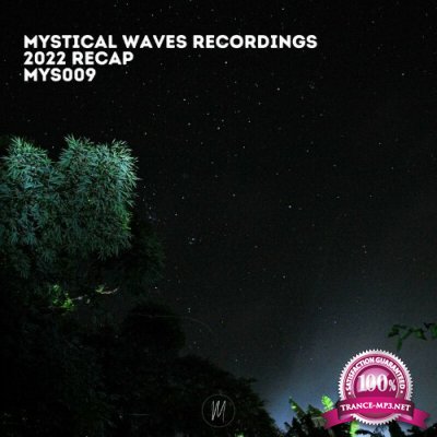 Mystical Waves Recordings 2022 Recap (2022)