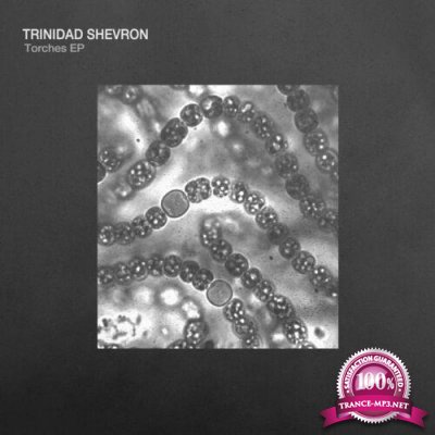 Trinidad Shevron - Torches EP (2022)