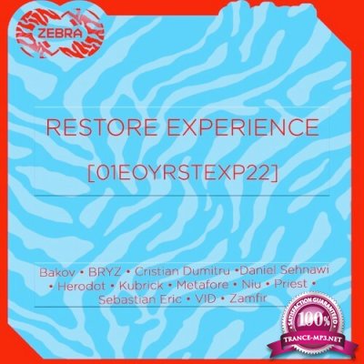 Restore Experience [01EOYRSTEXP22] (2022)