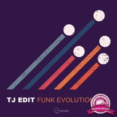 Tj Edit - Funk Evolutions 20 (2022)