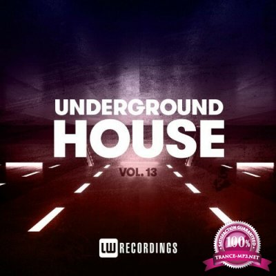 Underground House, Vol. 13 (2022)