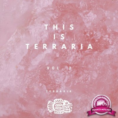 This is Terraria Vol. 2 (2022)