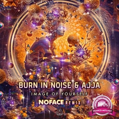 Burn In Noise & Ajja - Image of Yourself (NoFace Remix) (Single) (2023)